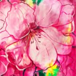Biotopos, Palacio Almudí hibiscus rosa 2