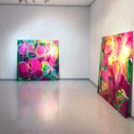 Yang Gallery img 6767 ff