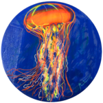 medudsa