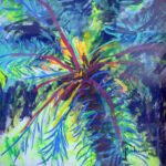variaciones palmera i